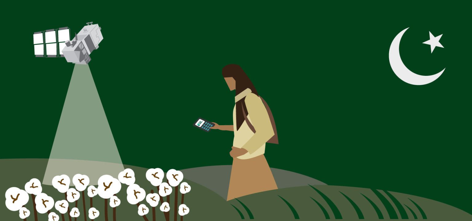 Cottoning on A free weather product for Punjab’s cotton belt