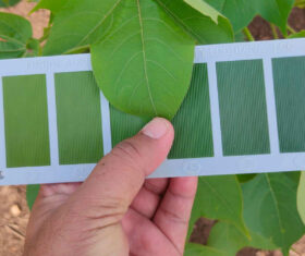 Leaf Color Charts to reduce nitrous oxide emissions and increase farmer income in cotton production through the efficient use of nitrogen fertilizer