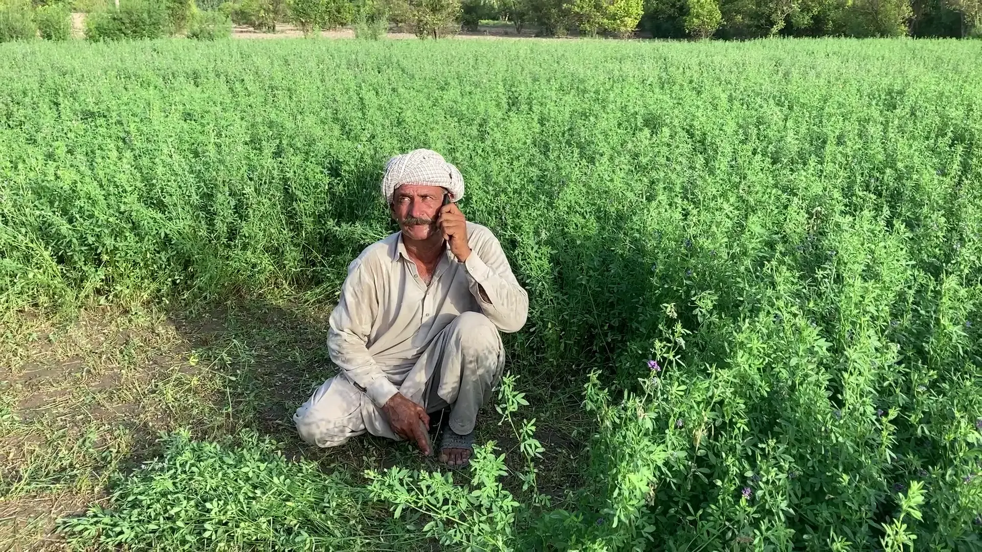 farmer-listening-to-advisory-Bakhtawar-Ali (1)