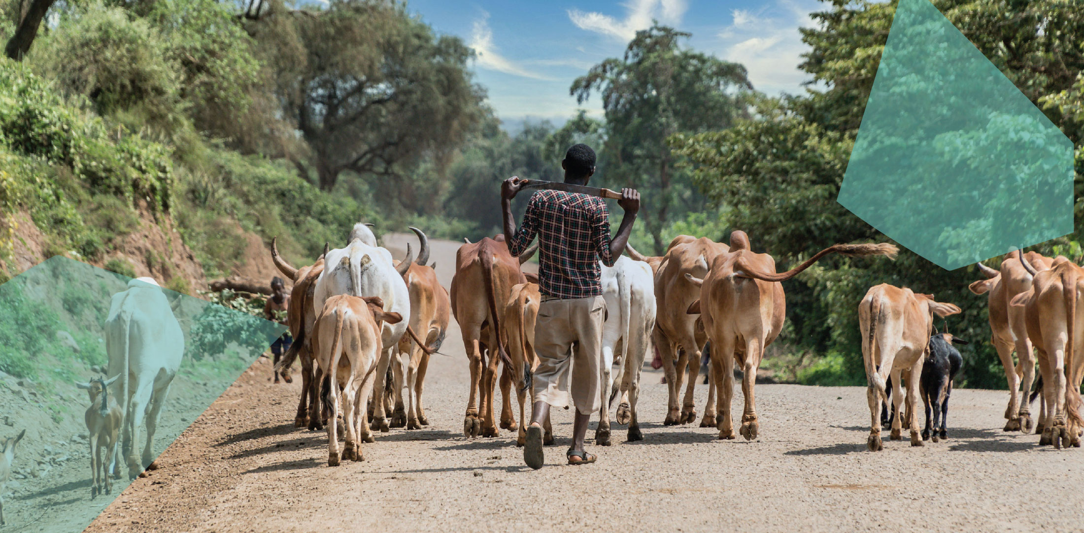 header_ethiopia