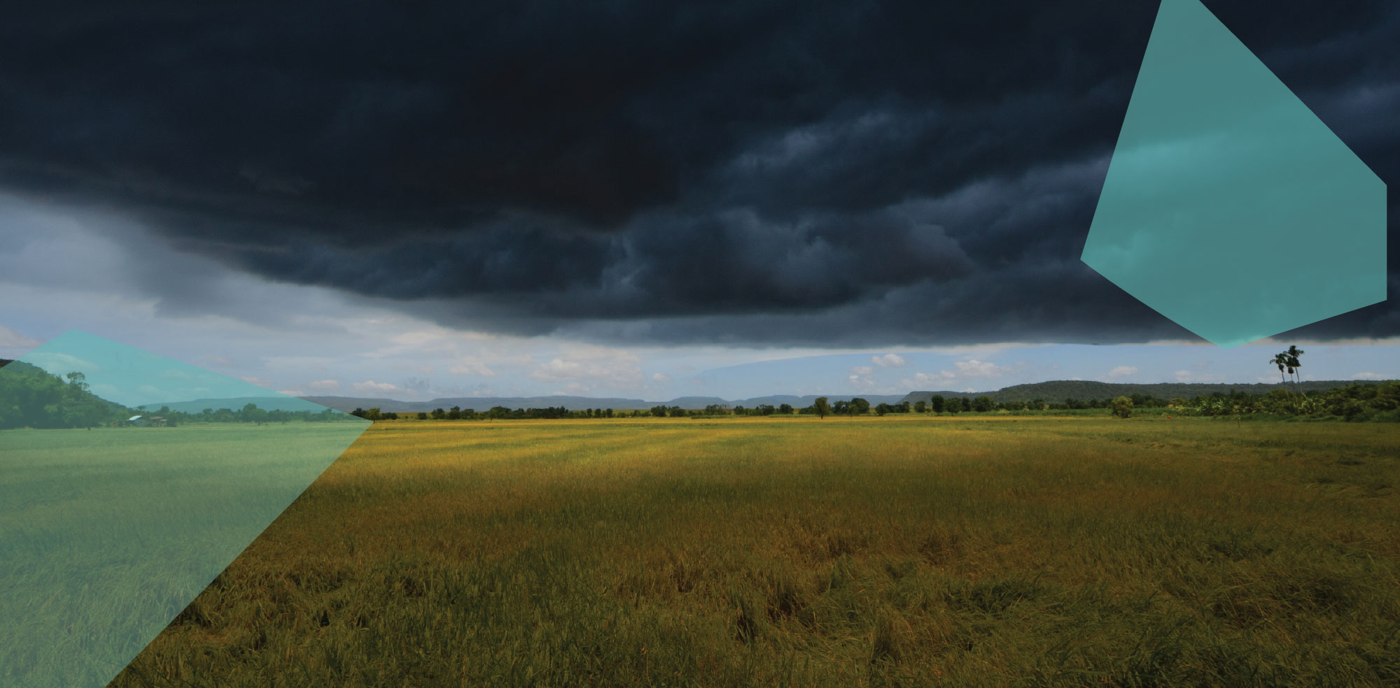 weather_header