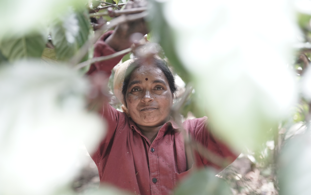 Climate resilience