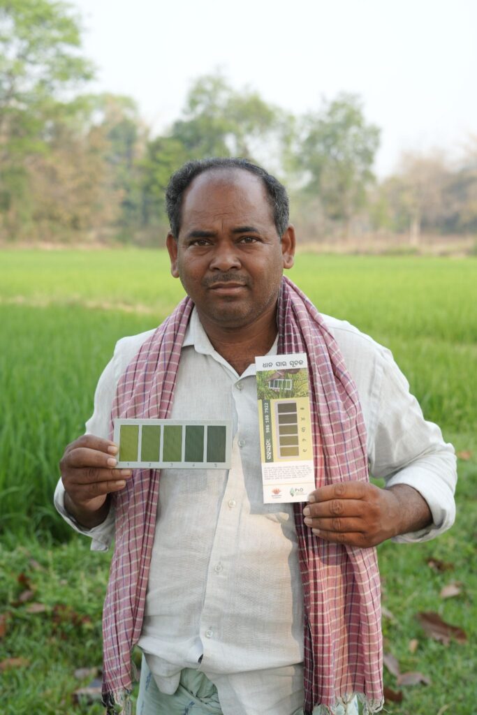 Figure 1: A rice farmer in Odisha using the LCC
